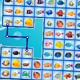 Fish Connections